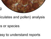 Air quality analysis